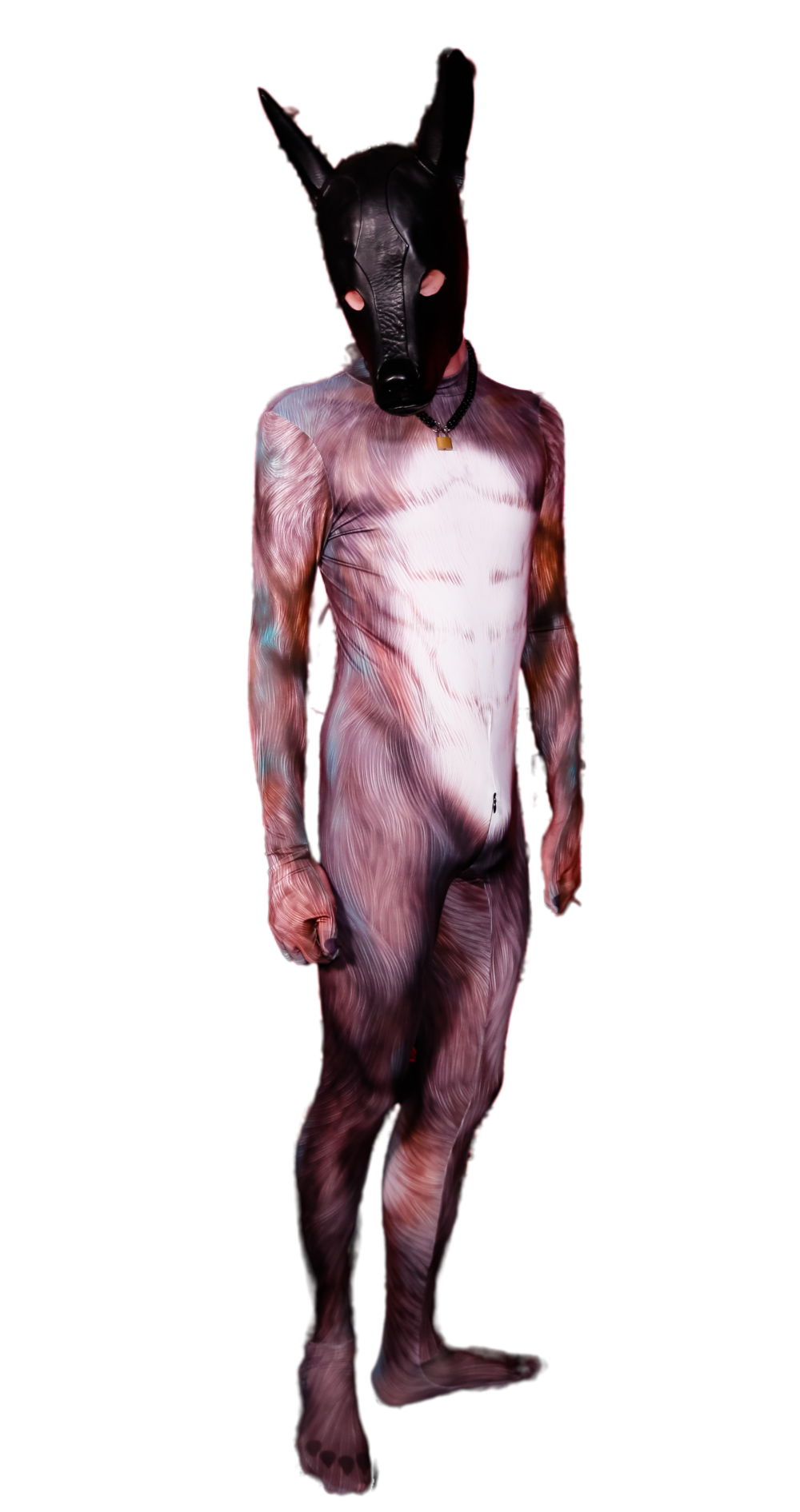 Blue Fox petsuit