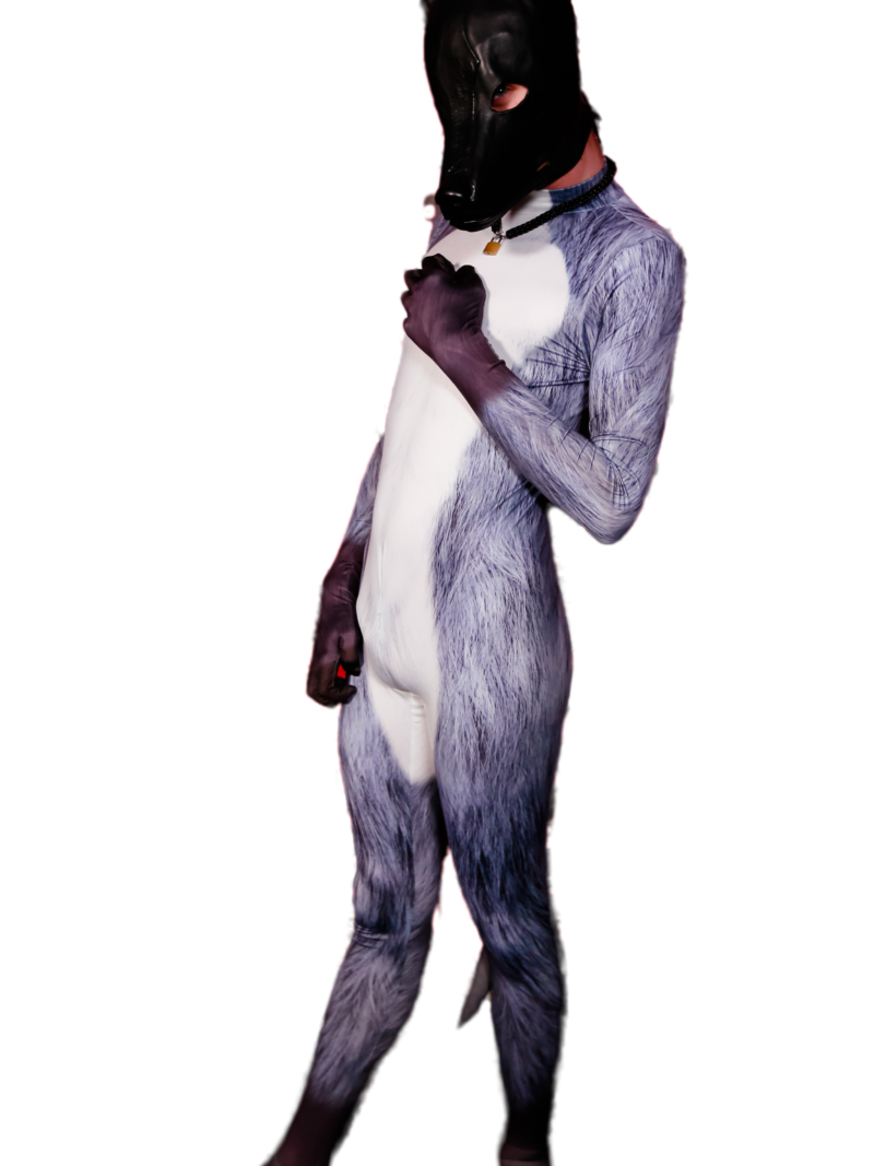 Grey Wolf petsuit
