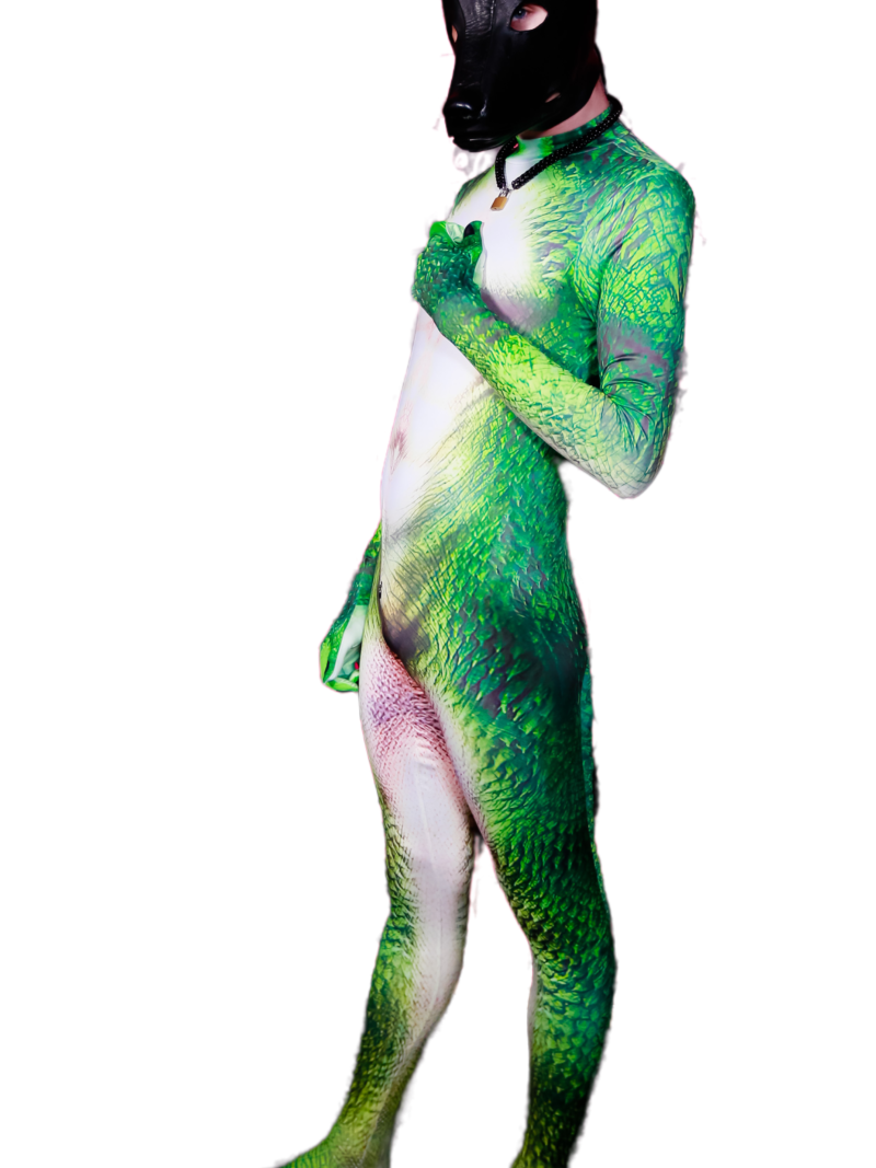 Lizzard petsuit