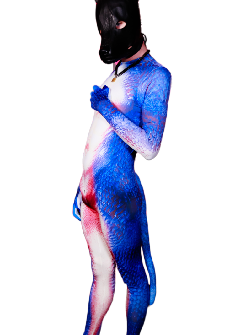 Blue Dragon petsuit