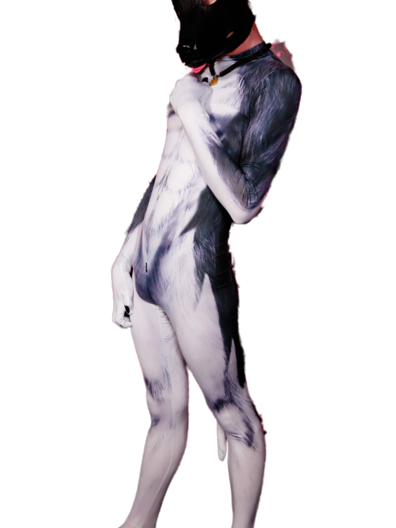 Husky petsuit