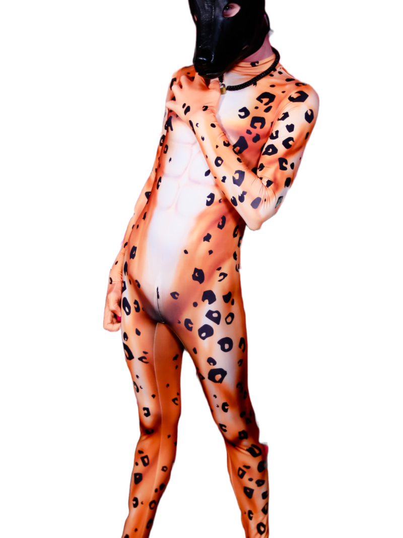 Leopard petsuit